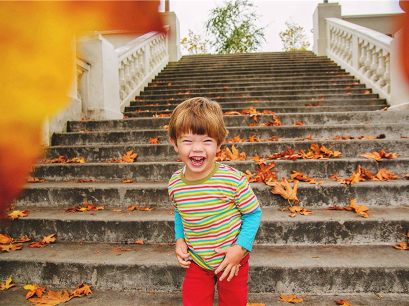 正月十五日与兄弟清坐灯下不饮取黄精荔子甘实食之童稚绕膝嬉笑喧杂亦足慰岑寂戏作三绝句纪之·其二原文注释译文赏析-李弥逊诗词-宋诗全集