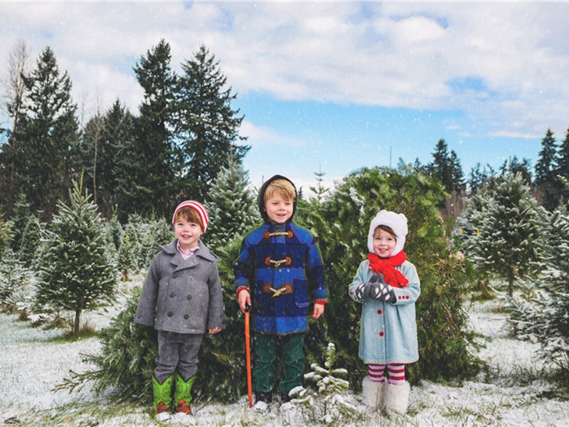 和仁仲春日十绝·其二原文注释译文赏析-胡寅诗词-宋诗全集