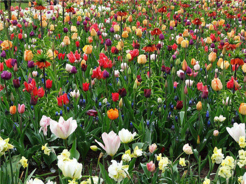 用秦公赠李次仲韵呈次仲三首·其一原文注释译文赏析-曹勋诗词-宋诗全集