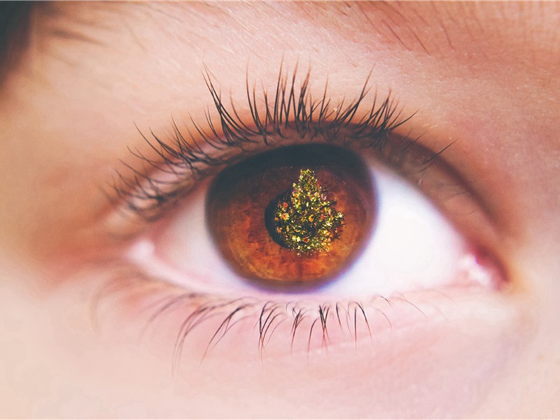 中隠庵和赵孺韵原文注释译文赏析-李廌诗词-宋诗全集