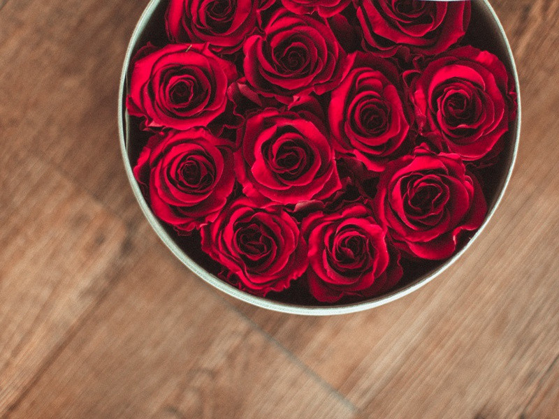 上夹谷书隠先生六首·其一原文注释译文赏析-何梦桂诗词-宋诗全集