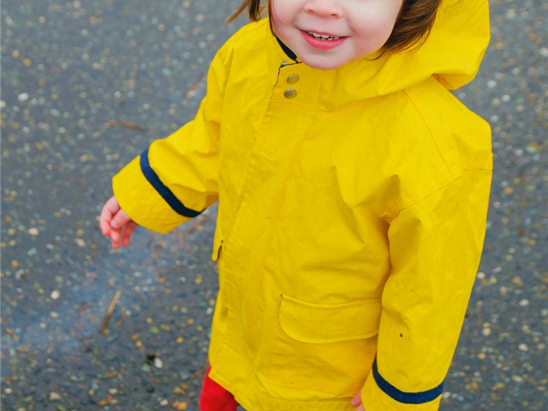 盘洲杂韵上·蓼岸原文注释译文赏析-洪适诗词-宋诗全集