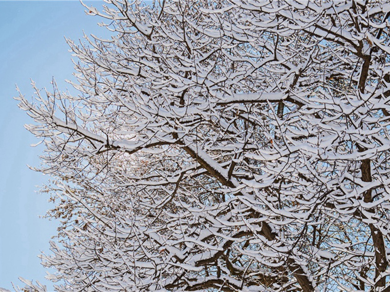送陈屯田知明州原文注释译文赏析-郭祥正诗词-宋诗全集
