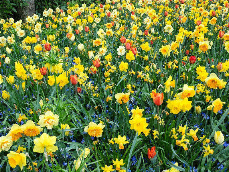 赠陈钱二别乘·其二原文注释译文赏析-陈造诗词-宋诗全集