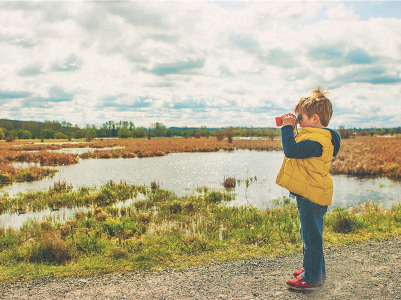 寄吴善父原文注释译文赏析-方凤诗词-宋诗全集