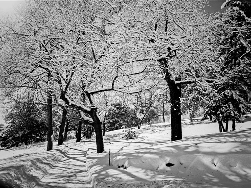 次韵子文原文注释译文赏析-范成大诗词-宋诗全集