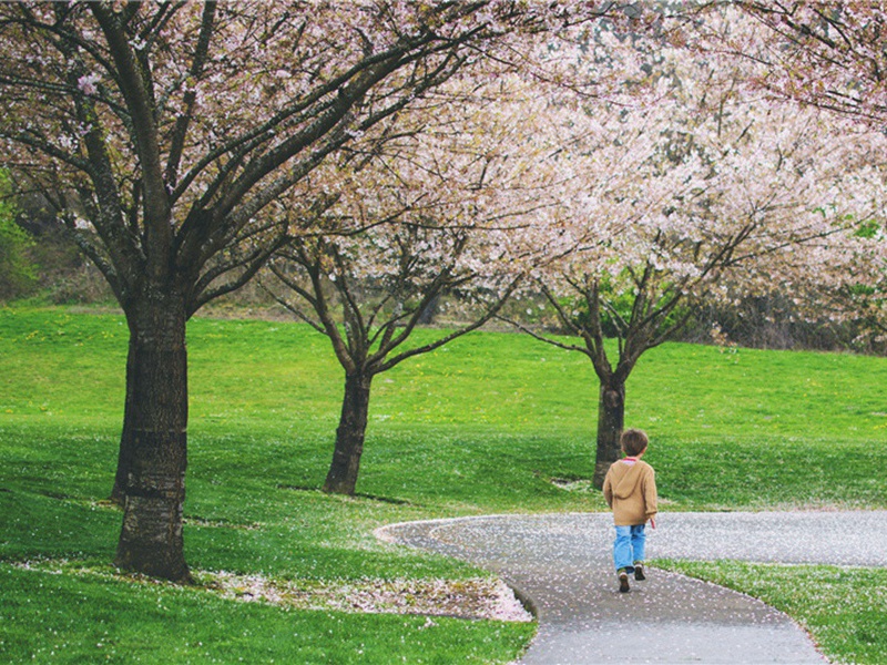 巩仲至和张少卿韵约同寄一首原文注释译文赏析-韩淲诗词-宋诗全集