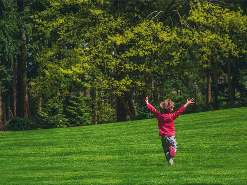 尧卿兄改官陞朝作诗纪贺三首·其一原文注释译文赏析-葛胜仲诗词-宋诗全集