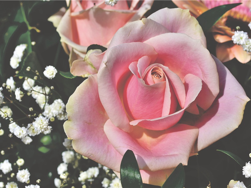 次胡余学同年四首·其二原文注释译文赏析-曹泾诗词-宋诗全集