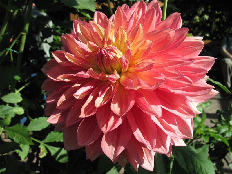 送别陈比部原文注释译文赏析-蔡襄诗词-宋诗全集