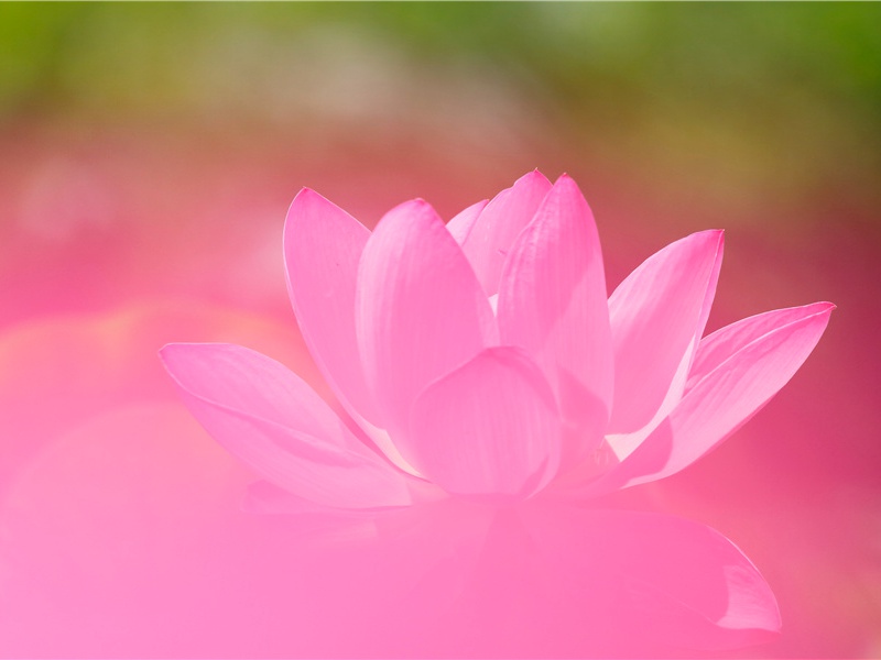 赭圻原文注释译文赏析-陈造诗词-宋诗全集