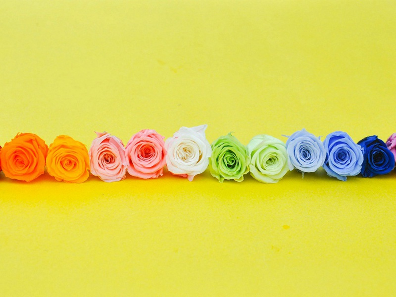 赋梅堂闲吟·其九原文注释译文赏析-陈宓诗词-宋诗全集