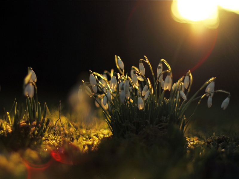 和贾明叔秋晚见怀原文注释译文赏析-陈师道诗词-宋诗全集