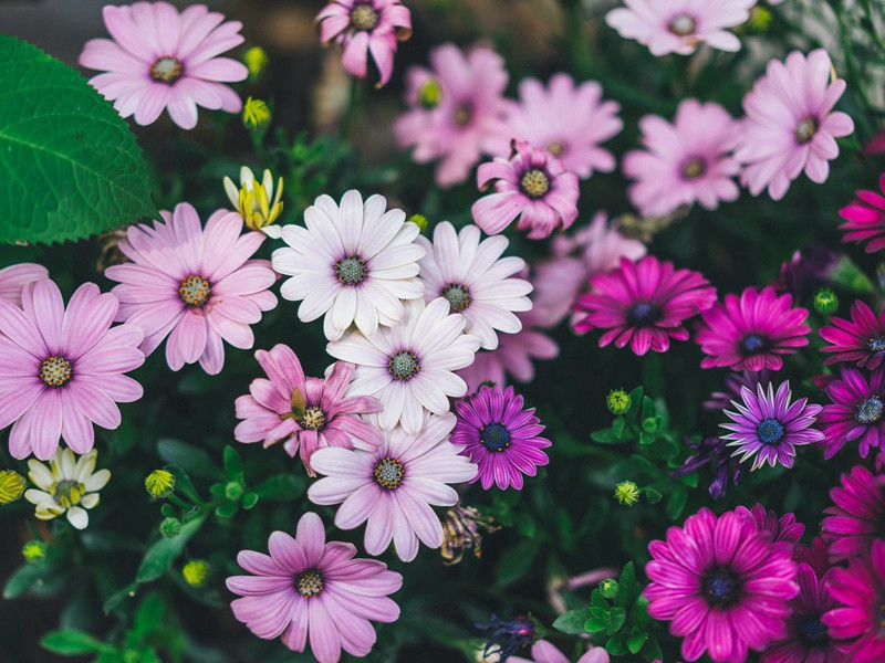 和微之饮杨路分家听琵琶·其二原文注释译文赏析-韩维诗词-宋诗全集