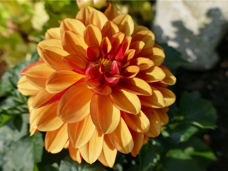 苦雨次前韵四首·其一原文注释译文赏析-陈造诗词-宋诗全集