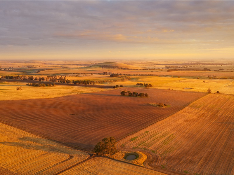 安静堂书事原文注释译文赏析-蔡襄诗词-宋诗全集