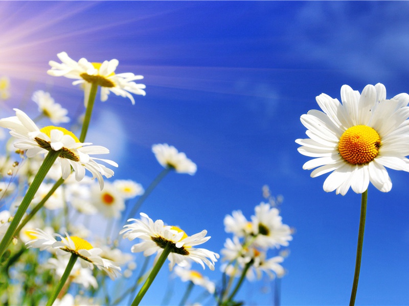 答魏衍黄预勉余作诗原文注释译文赏析-陈师道诗词-宋诗全集