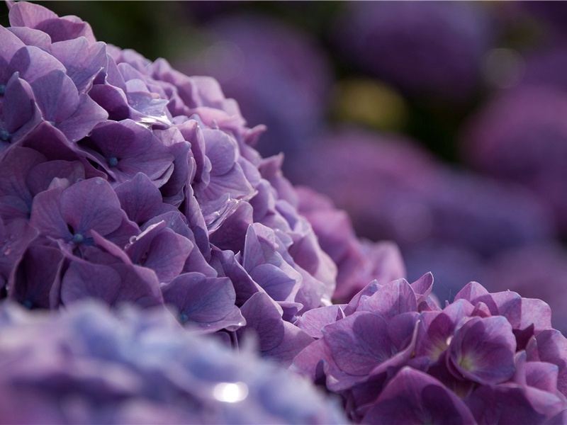 句·其一七原文注释译文赏析-晁逈诗词-宋诗全集