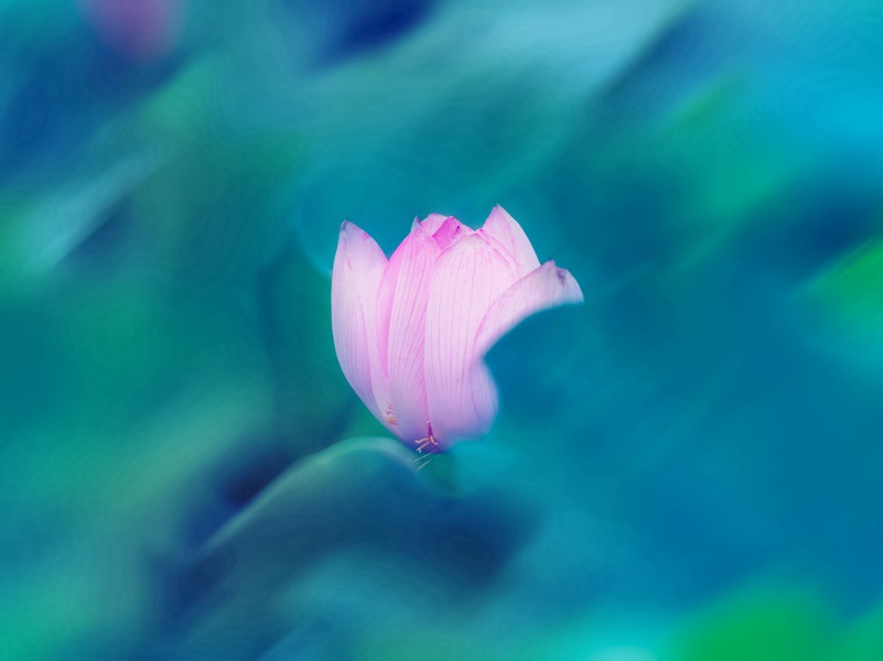 寒食湖上原文注释译文赏析-陈昉诗词-宋诗全集