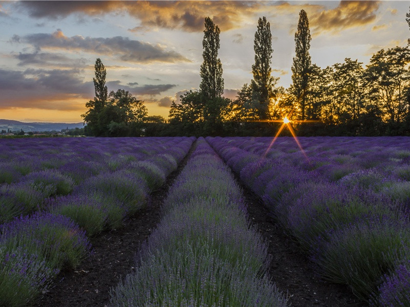 和王给事易简殿试举人五首·考校原文注释译文赏析-程俱诗词-宋诗全集