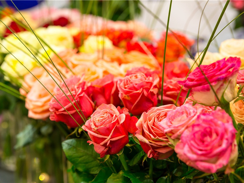 赋虚谷黄子羽所藏吴山西墨兰三章·其二原文注释译文赏析-陈着诗词-宋诗全集