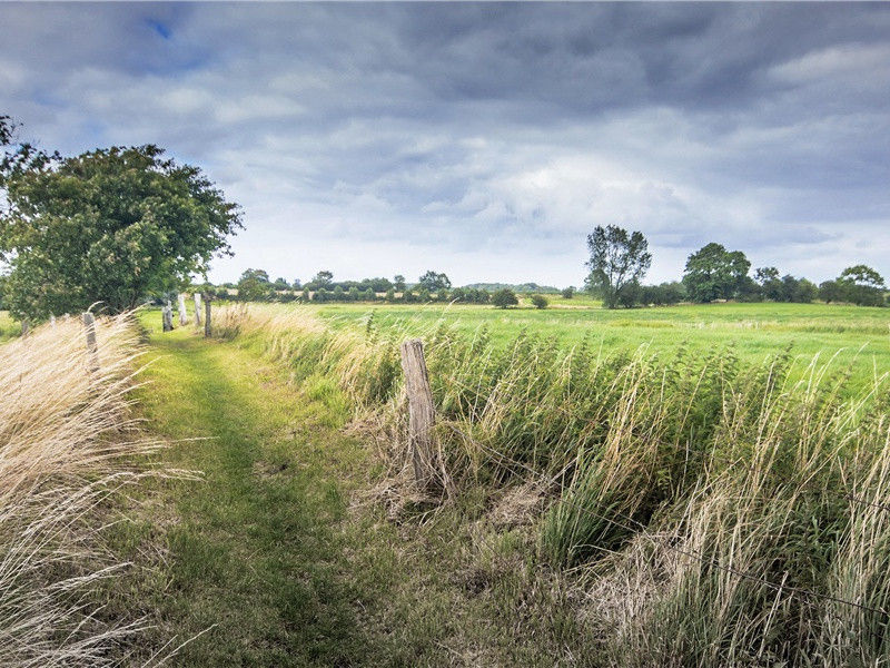 和韩子文五首·其二原文注释译文赏析-曾协诗词-宋诗全集