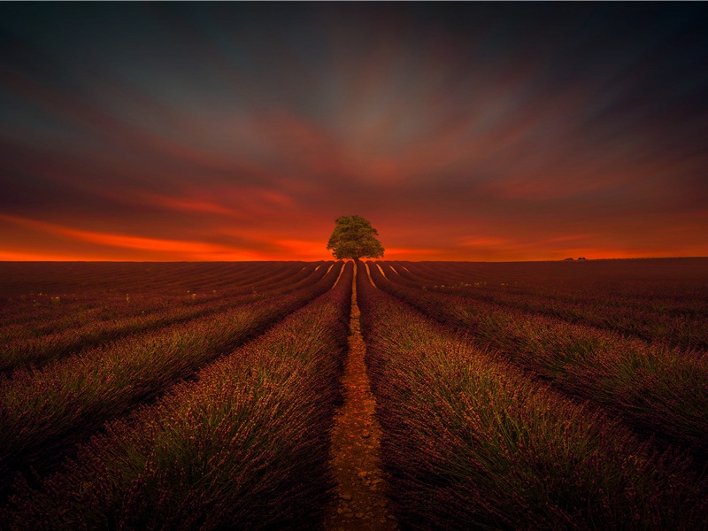 南剑道中示友人原文注释译文赏析-陈宓诗词-宋诗全集