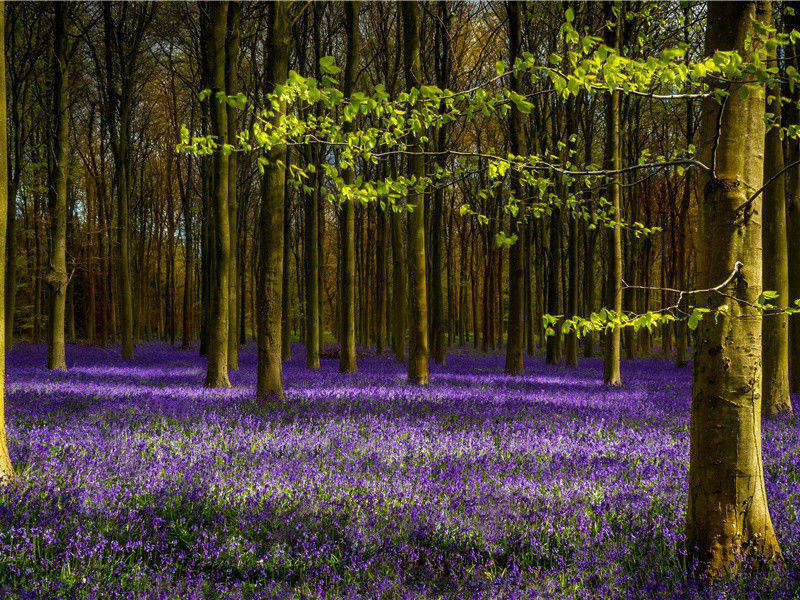 秘省避暑抵暮乃出原文注释译文赏析-曾几诗词-宋诗全集