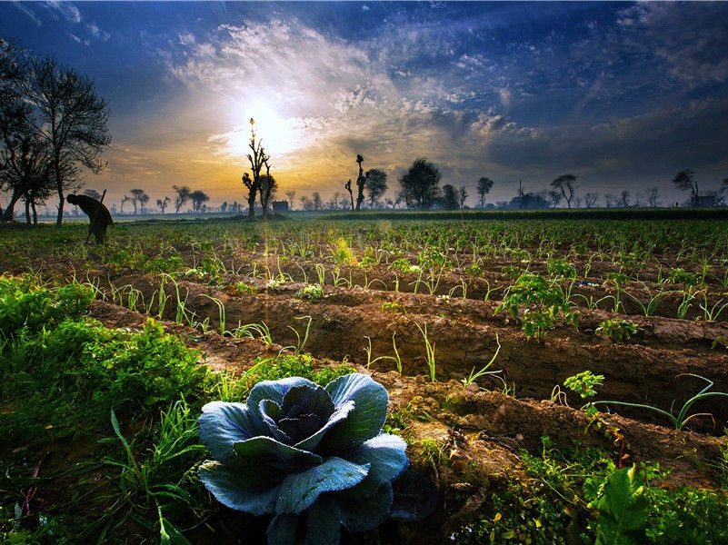 岁暮原文注释译文赏析-晁说之诗词-宋诗全集