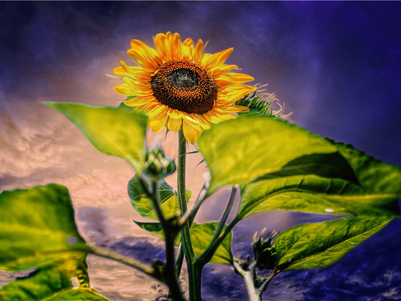 胡教授送一壶原文注释译文赏析-韩淲诗词-宋诗全集