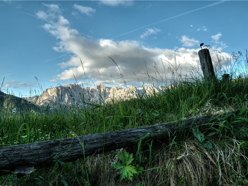 次韵鲜于晋伯清明日过水南·其二原文注释译文赏析-晁公遡诗词-宋诗全集