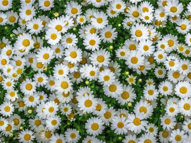 三月初二日原文注释译文赏析-韩淲诗词-宋诗全集