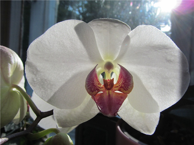 送程公辟使江西原文注释译文赏析-曾巩诗词-宋诗全集