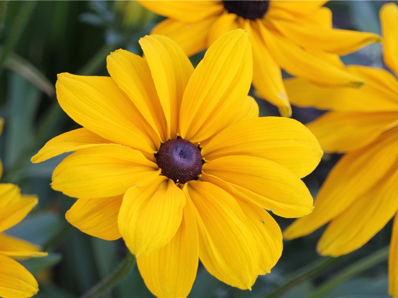 次韵杨宰游神居原文注释译文赏析-陈造诗词-宋诗全集