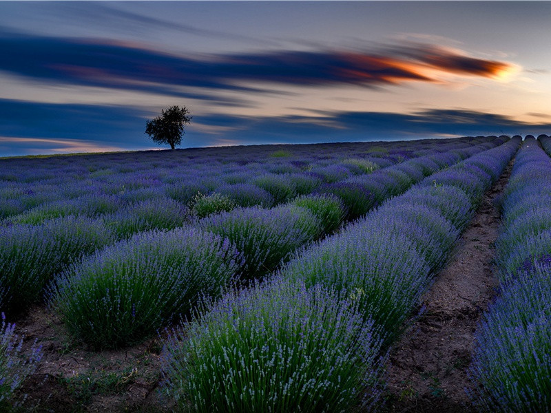 绍兴二十八年祀圜丘·降神用《景安》。原文注释译文赏析-郊庙朝会歌辞诗词-宋诗全集