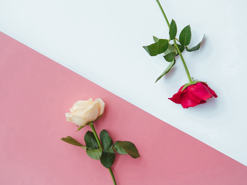 去草原文注释译文赏析-韩元吉诗词-宋诗全集