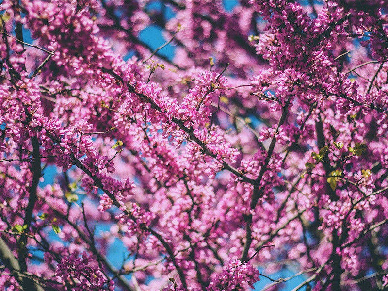 颍州道中有感原文注释译文赏析-毕仲游诗词-宋诗全集