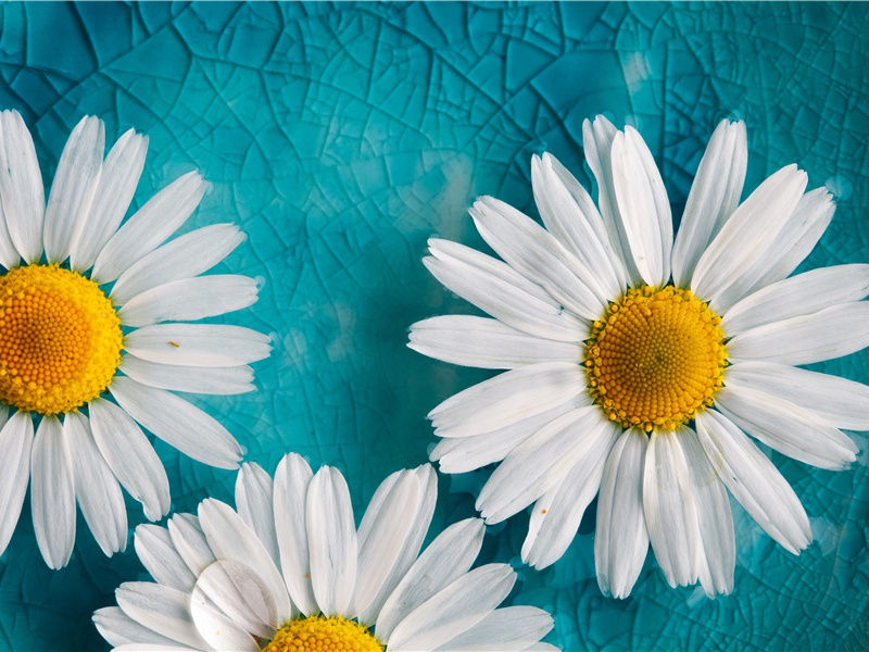 兴宗得斋字以诗来次其韵原文注释译文赏析-李纲诗词-宋诗全集