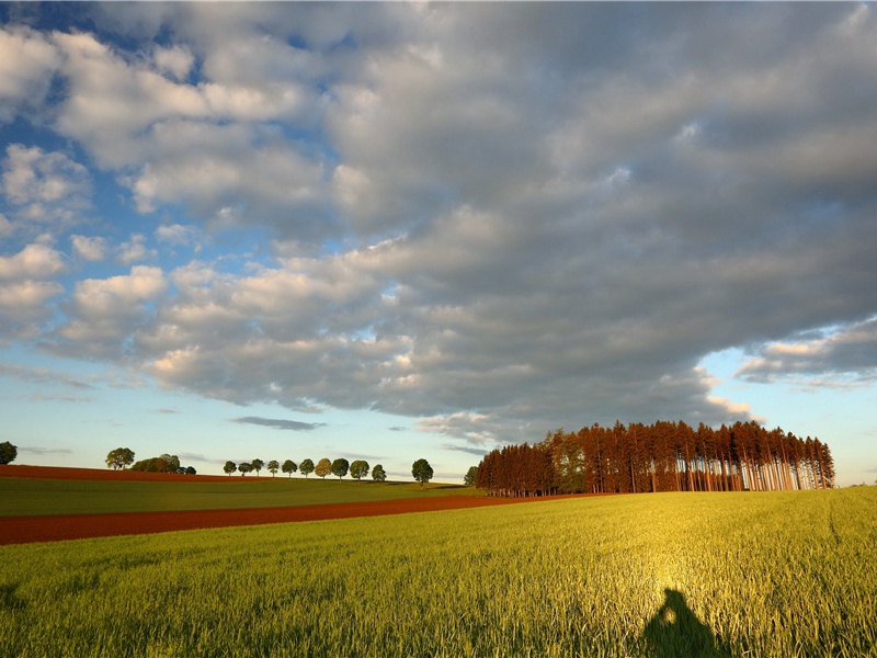 游北苑寺似主僧汉仲章原文注释译文赏析-陈着诗词-宋诗全集