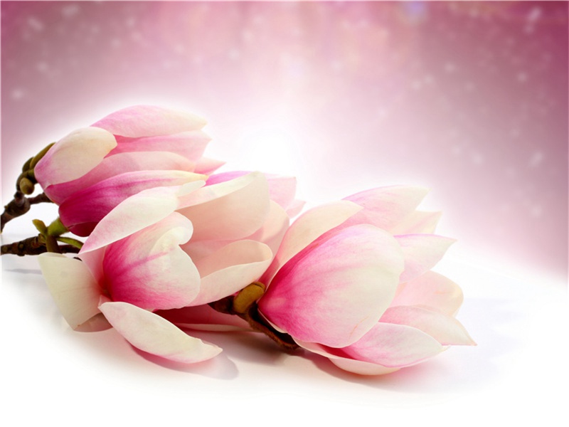 扬州杂咏七首·其三原文注释译文赏析-晁补之诗词-宋诗全集