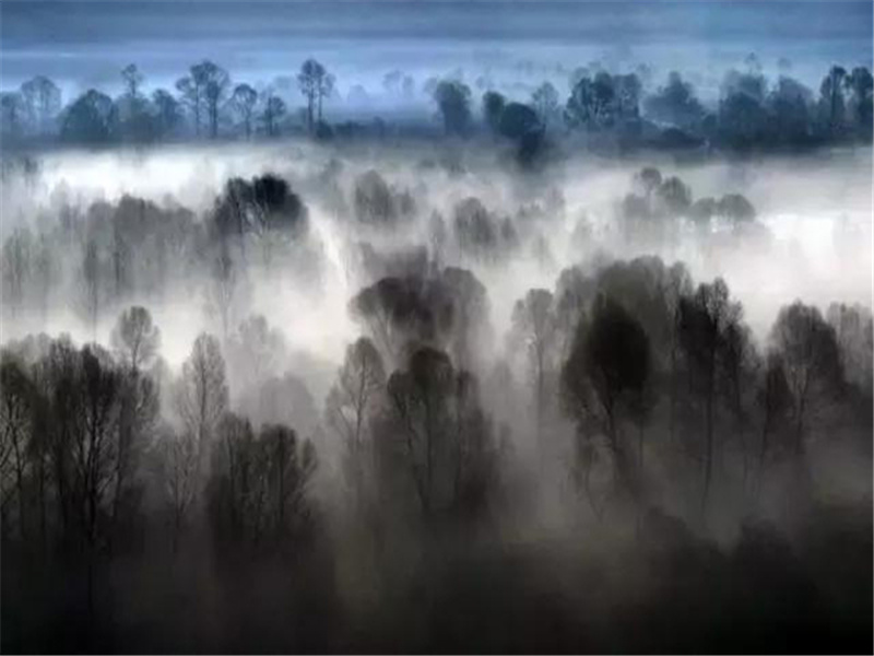 《笠翁对韵六鱼》拼音版解释句解题解(拼音打印版)