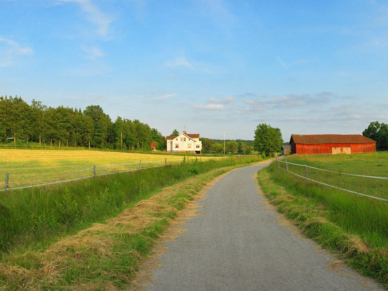 群冰从西下,极目高崒兀的意思出处赏析