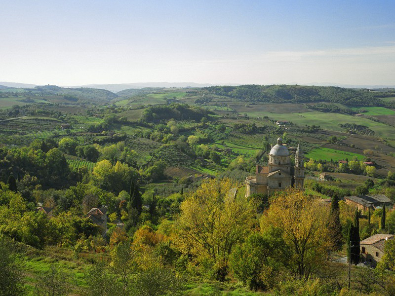 宁可枝头抱香死,何曾吹落北风中出处翻译赏析