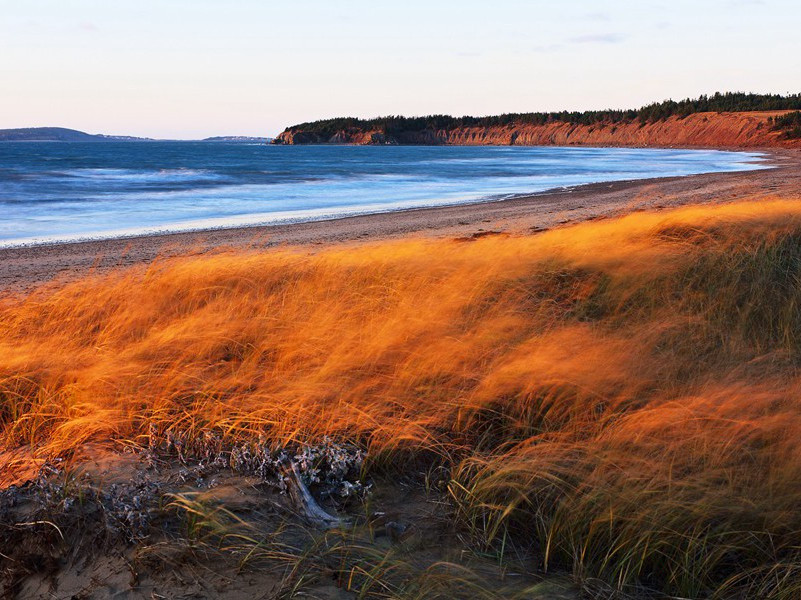 东飞乌鹊西飞燕,盈盈一水经年见出处意思赏析
