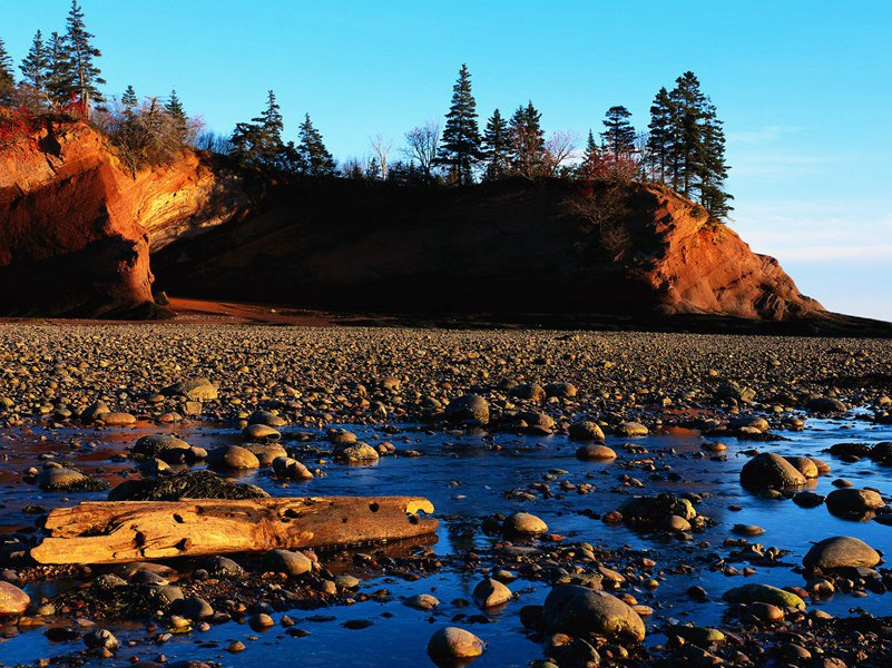 千门万户递鱼钥,宫中城上飞乌鹊出处意思赏析