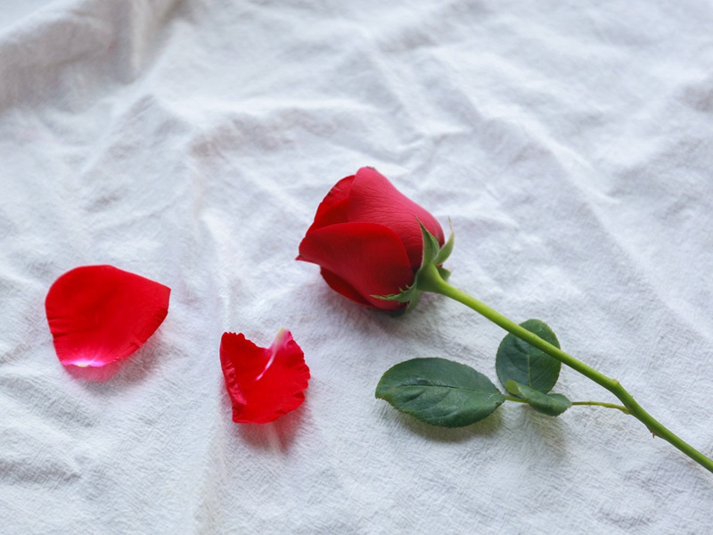 望岳-原文注释翻译赏析杜甫古诗)