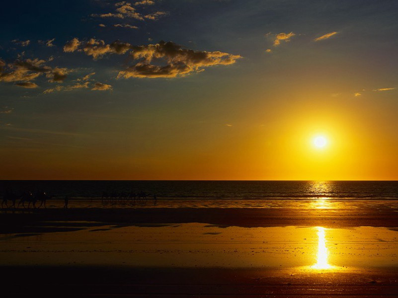 鞭挞其夫家,聚敛贡城阙的意思出处赏析