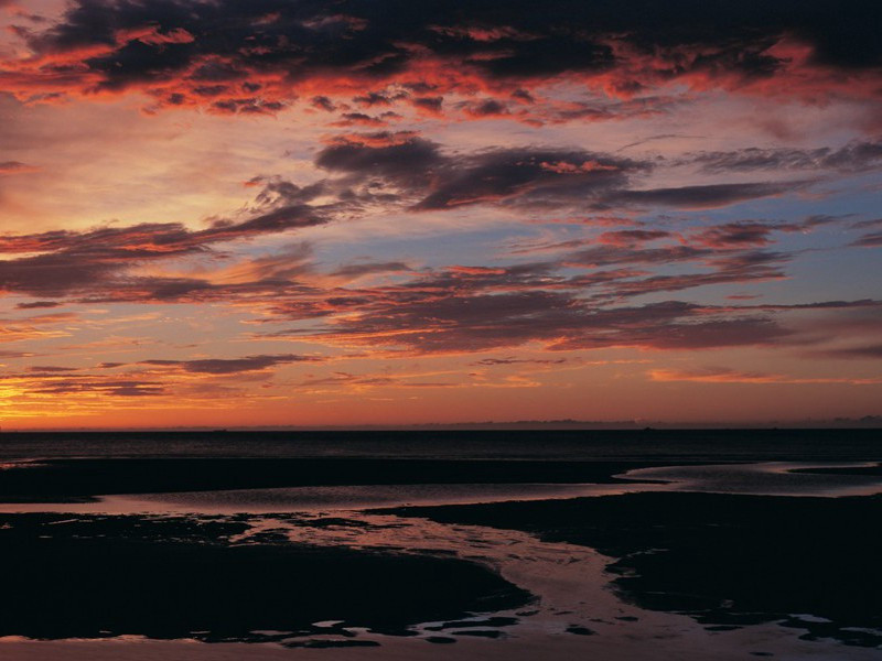远芳侵古道,晴翠接荒城出处翻译赏析