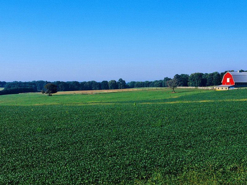 又送王孙去,萋萋满别情出处意思赏析作者