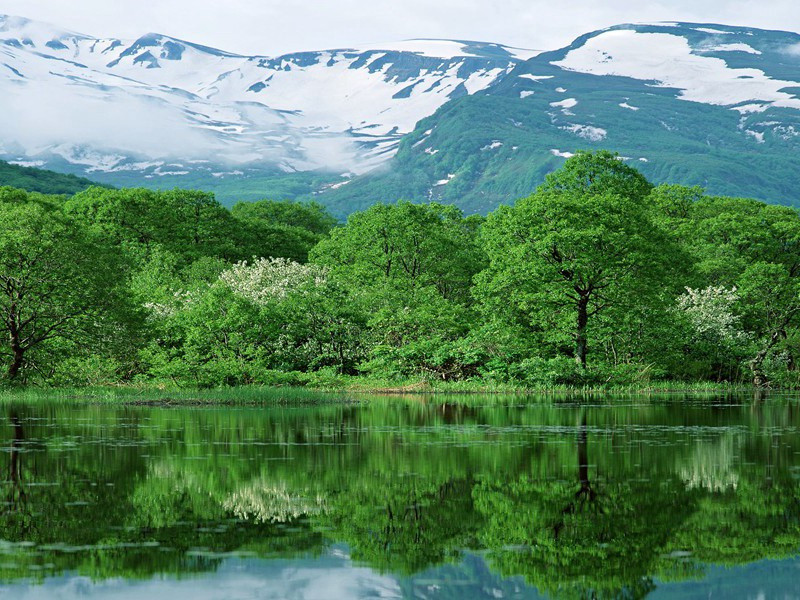 天明登前途,独与老翁别出处翻译赏析
